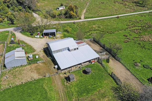 3764 Pohangina Road Utuwai_4