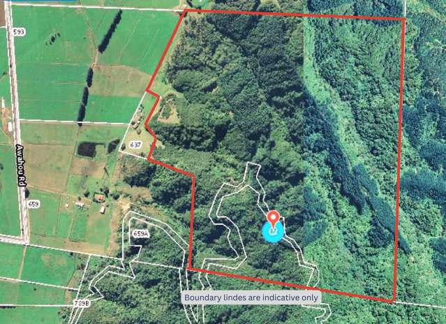 637a Awahou Road Murupara Surrounds_4