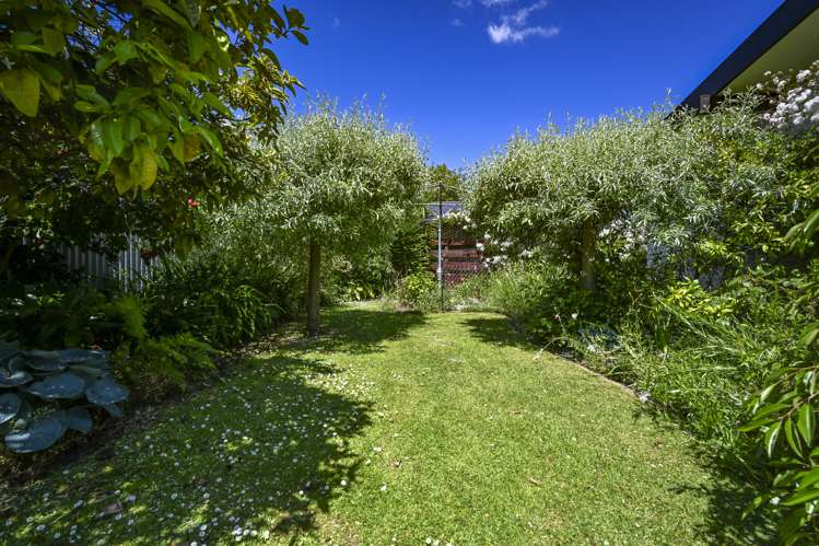 3/205 Knight Street Hastings_13