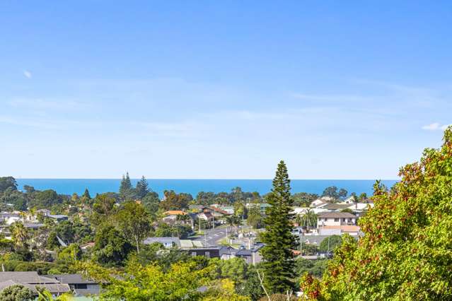 38a Albatross Road Red Beach_2