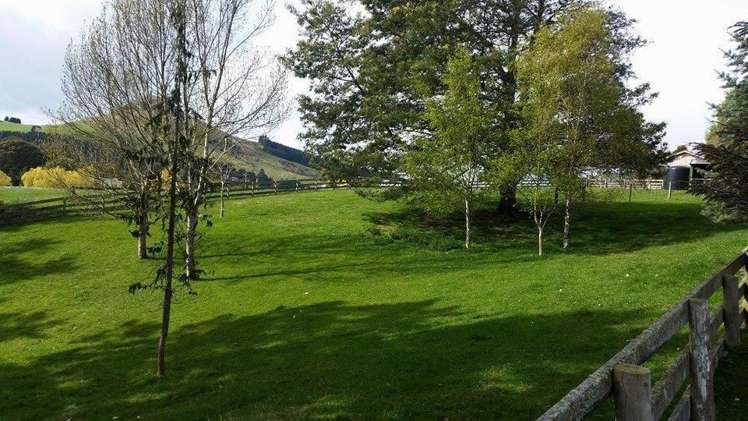 53 Gilligan Street Palmerston_18