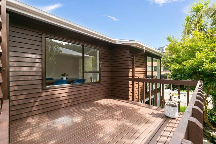 61 Amapur Drive Khandallah_21