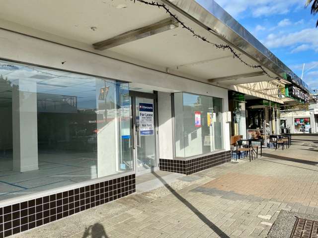 55 Clyde Road Browns Bay_2