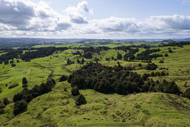 313 Paiaka Road Hikurangi Rd2_2