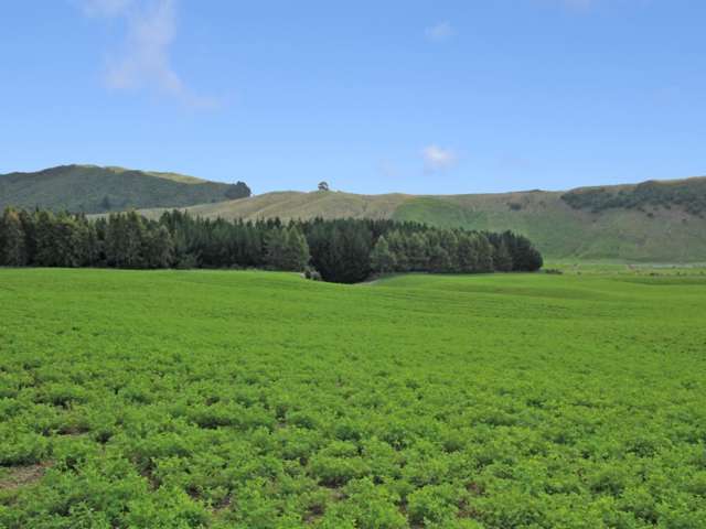 44 Katelyn Place Kinloch_1