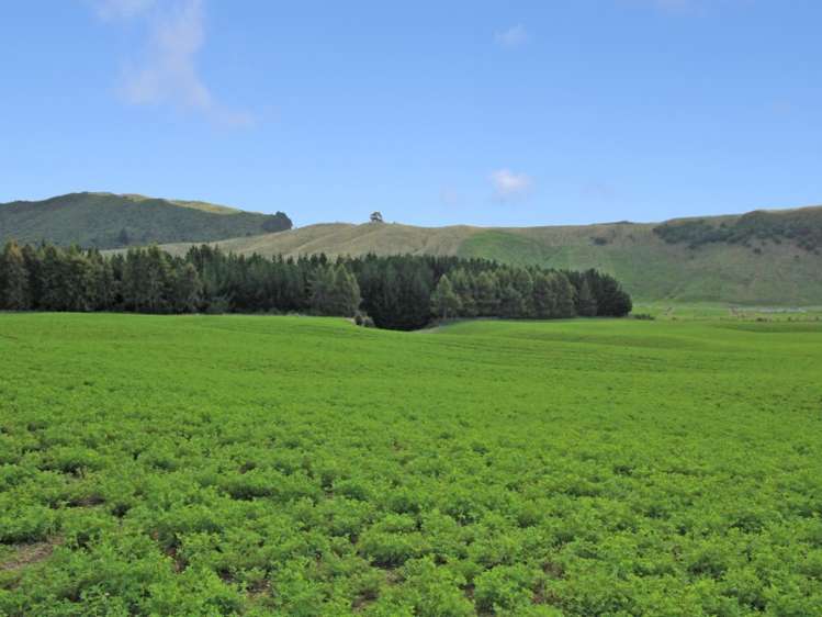 44 Katelyn Place Kinloch_1