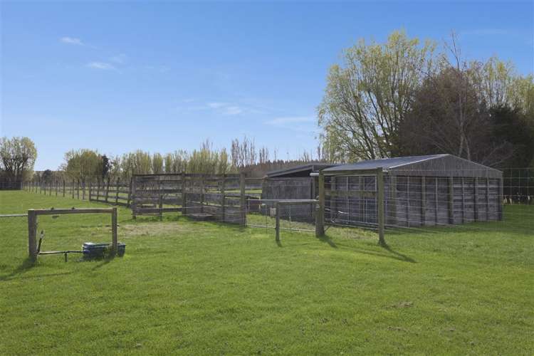 77 Raddens Road Ohoka_10