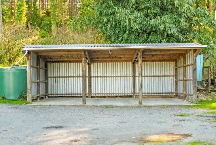 110 Whangape Track Road Broadwood_15
