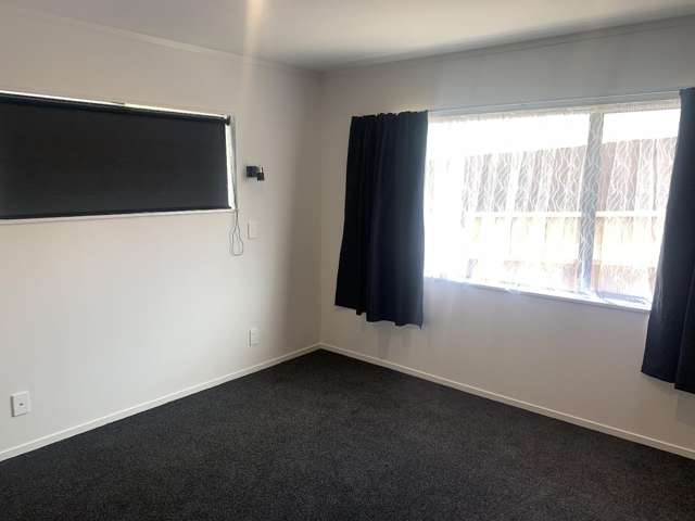 a/100 Waihi Road 11234_4