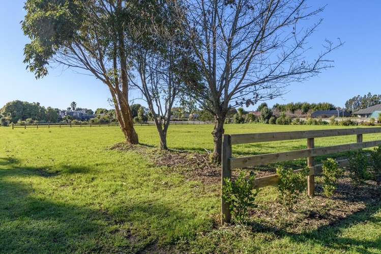140 Tara Road (Lot 2) Papamoa_9