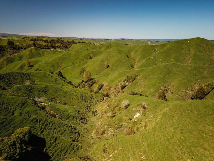 314 Kawautahi Road Owhango_17