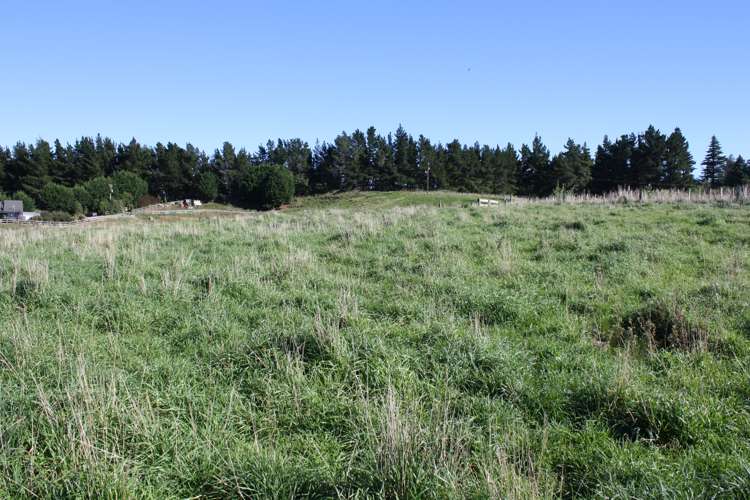 176 Flag Range Road Sherenden_5