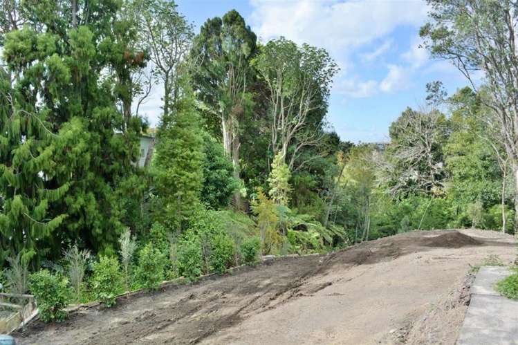 56 Pah Road Cockle Bay_8