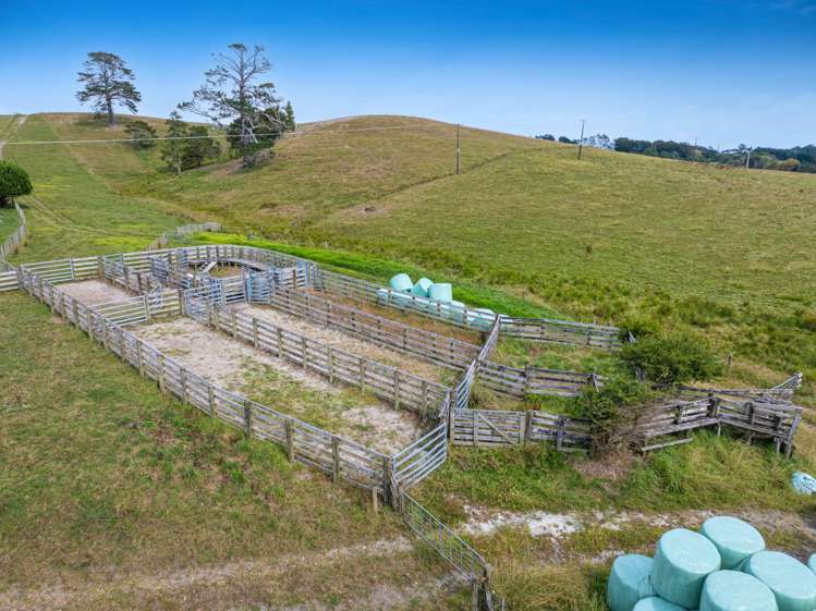 660 Kaipara Coast Highway Helensville_5