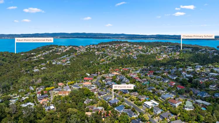 87 Porritt Avenue Chatswood_14