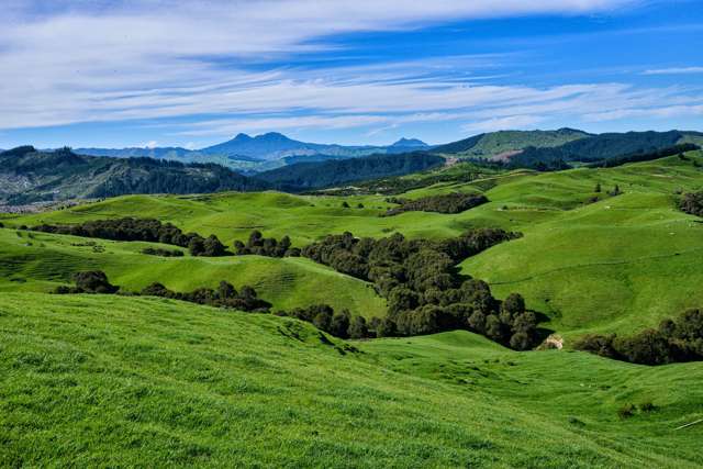 281 Matanui Road (Matanui Station) Tauwhareparae_4