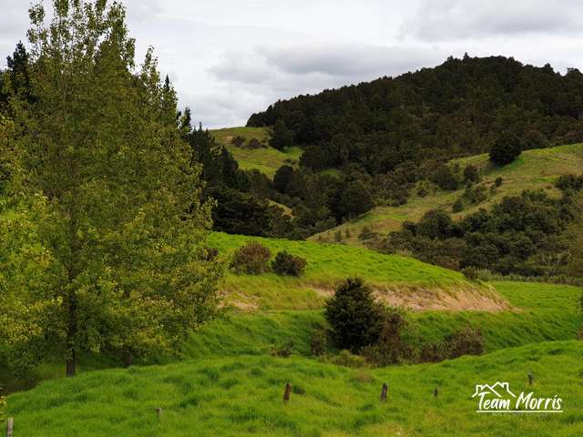 Lot 5/198 Griffin Road Maungaturoto_3