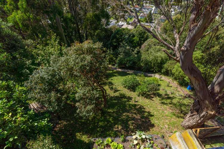 49 Thompson Terrace Toi Toi_14