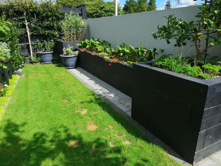 36a Bethlehem Road Bethlehem_20