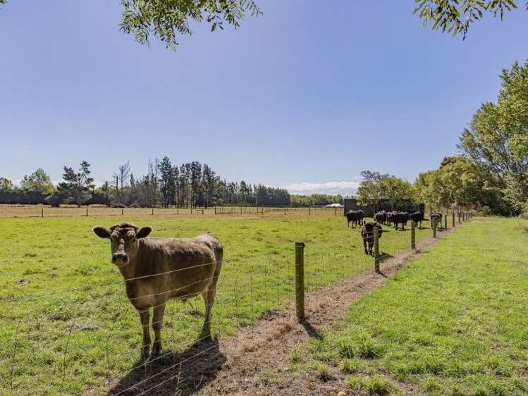 31 Church Bush Road Tuahiwi_15