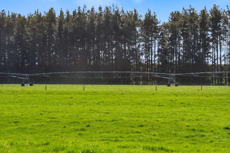 317 South Two Chain Road Dunsandel_9