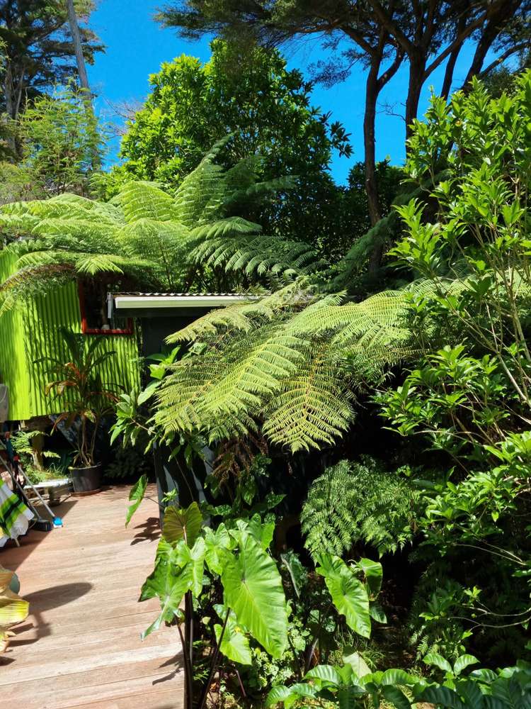 3 Nepean Avenue Orapiu_12