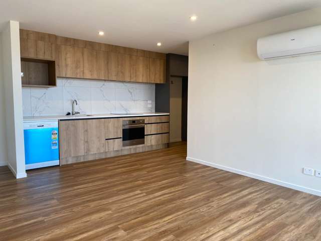 203/7 Newelm Lane Flat Bush_1