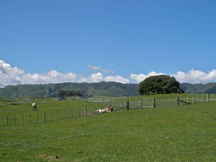 159 Pukenamu Road Te Horo_12