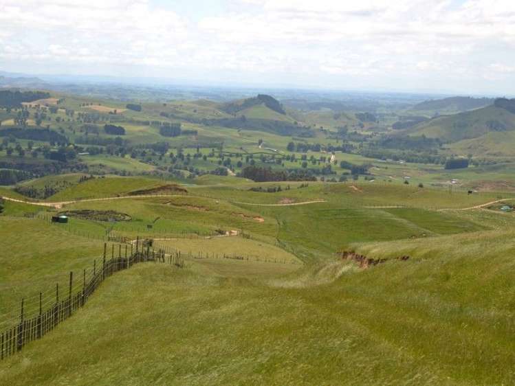 184 Grice Road Wharepuhunga_17