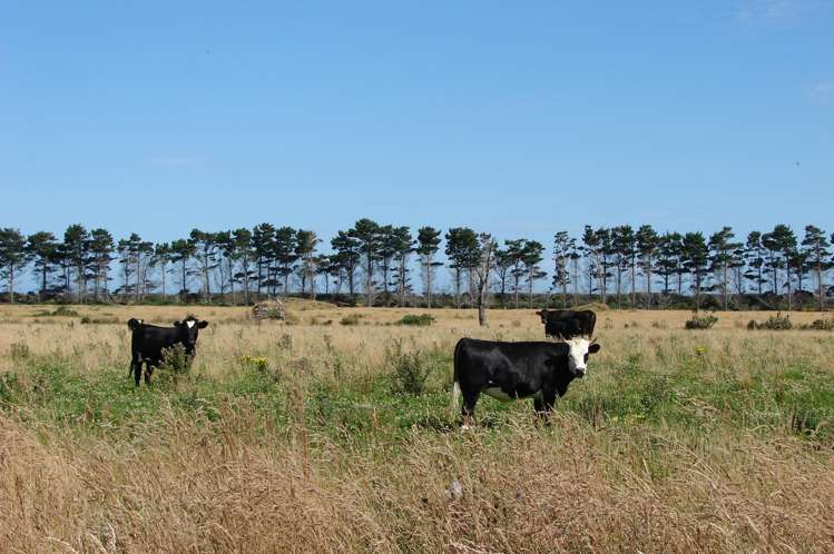 194 Talls Road Gorge Road_1