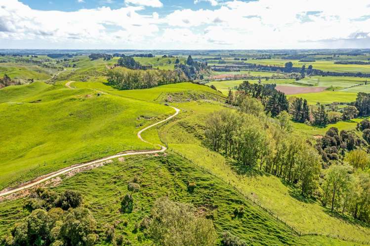 475 Pollock Road Pohangina_9