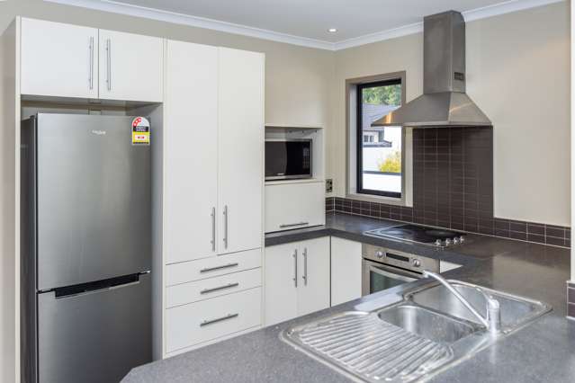 56f Willoughby Street Whitiora_3