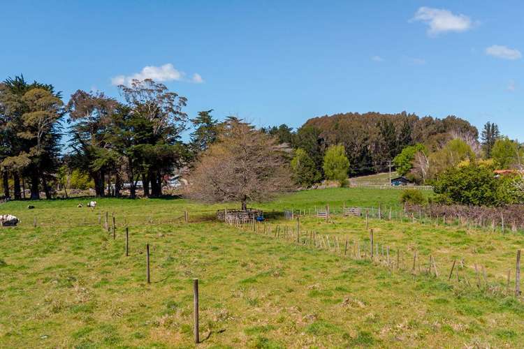 483 Garfield Road Dannevirke_23