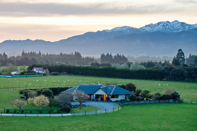 238 Red Swamp Road Kaikoura_14