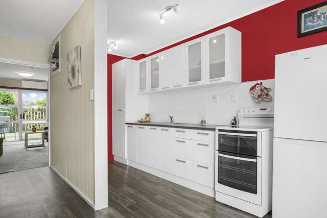 6/41 Cuba Street Petone_3