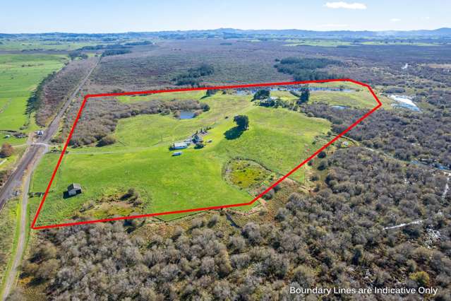 261A Wattle Road Te Kauwhata_4