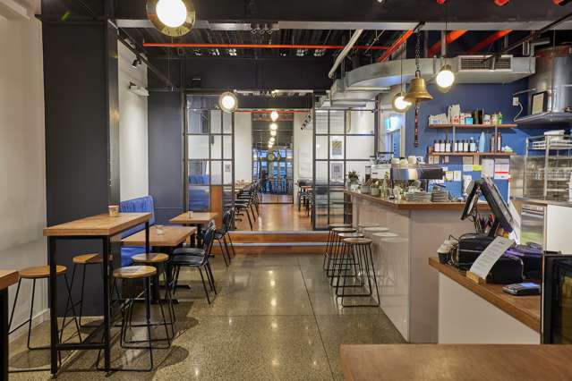 26 The Terrace Wellington Central_3