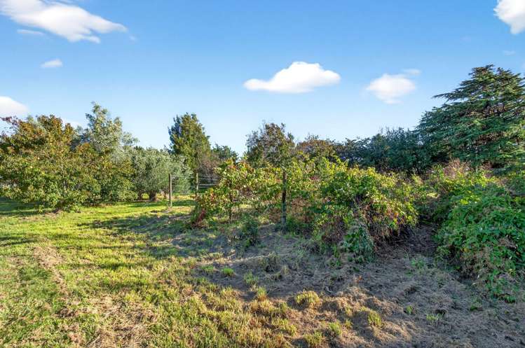 15a & 15b French Street Martinborough_9