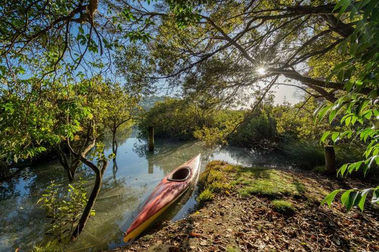 11 Packham Place Beach Haven_8