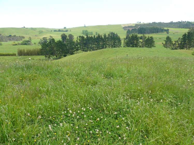 33 Larmer Road Kaitaia_5