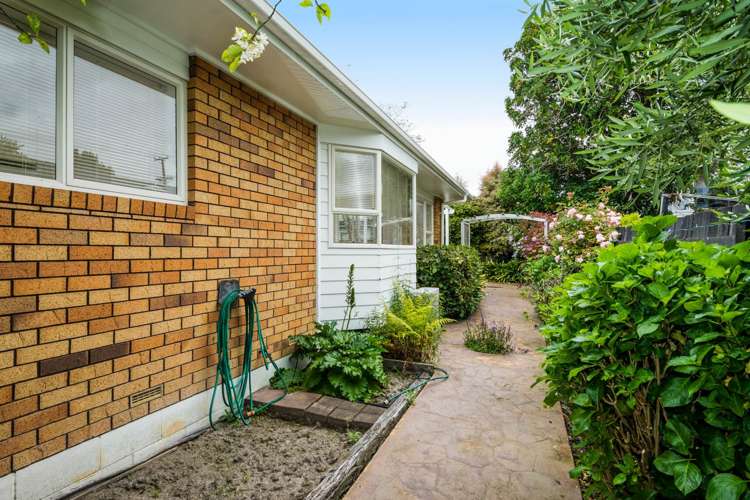 3/89 Nile Road Milford_15