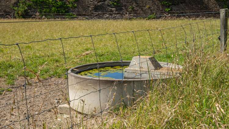 185 Ashworths Road Amberley_14