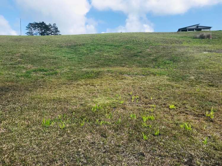 13 Brooke Road Karikari Peninsula_5