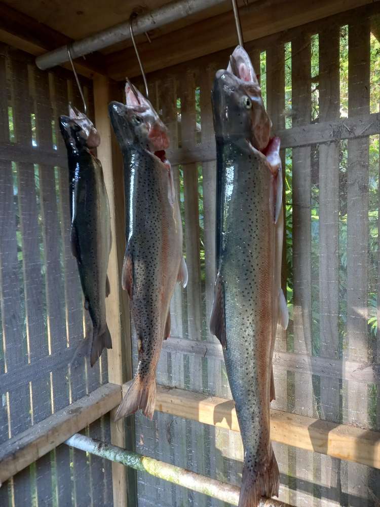 483 Spencer Road Lake Tarawera_36