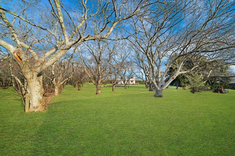 49 Bridge Street Otaua_34