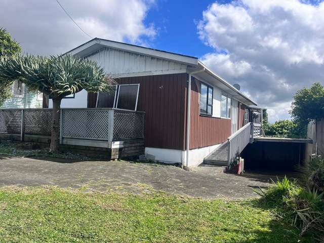 217 Sturges Road Henderson_2