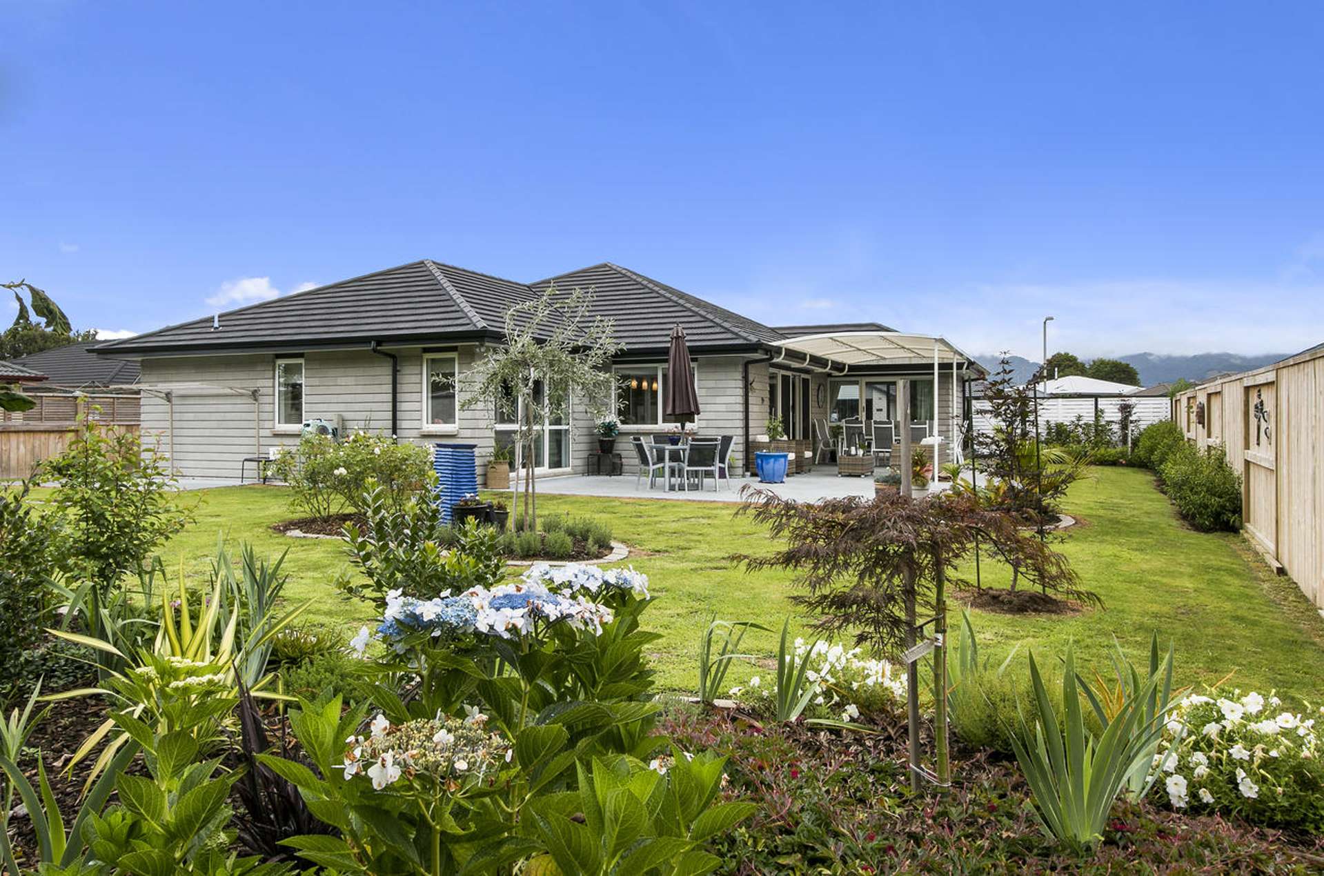 12 Nolan Place Katikati_0