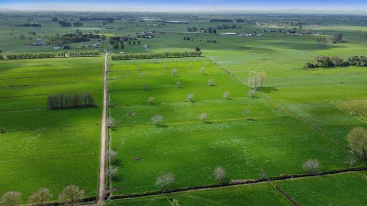 520 Lake Road Horsham Downs_39