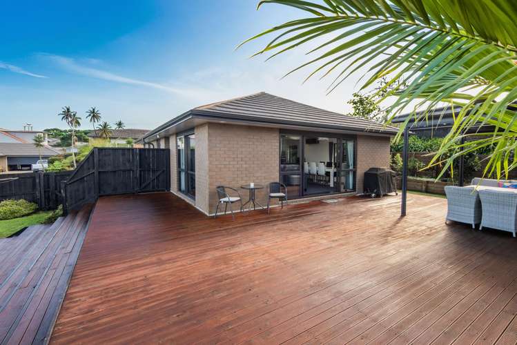 46 Briden Drive Tikipunga_21