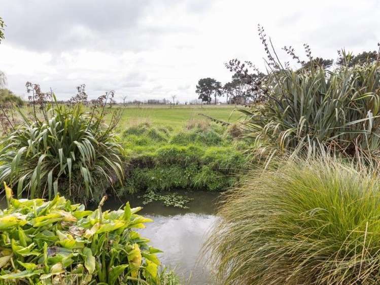 32 Warren Crescent Hillmorton_17